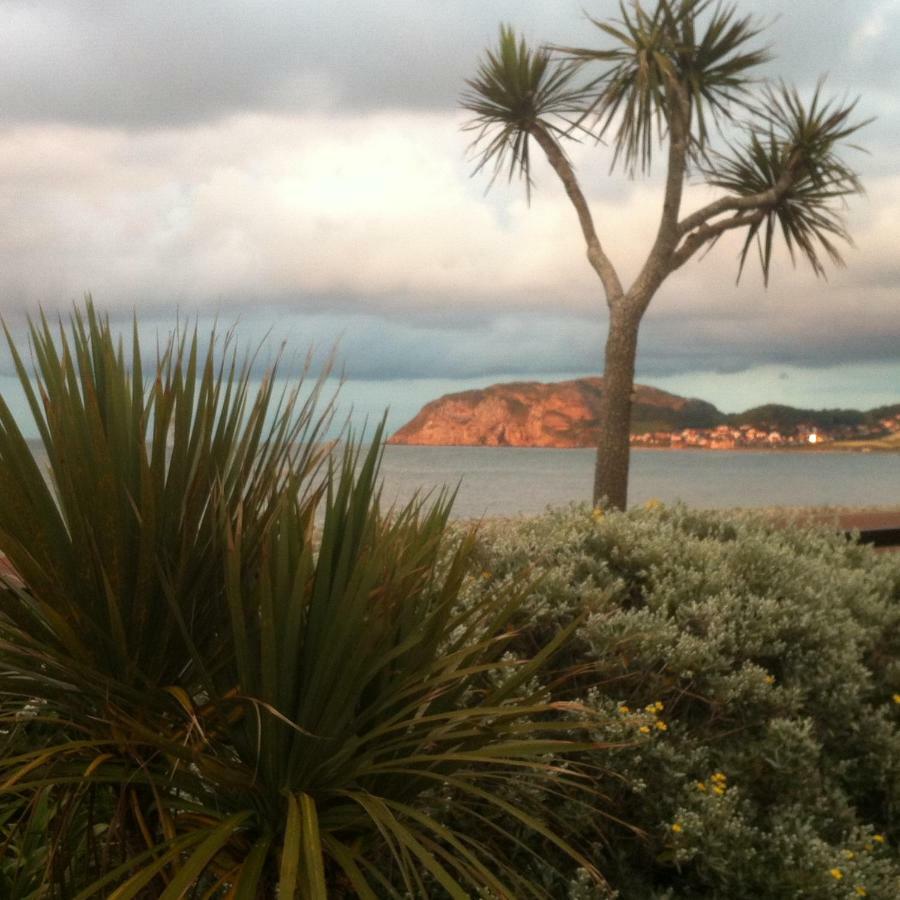 Cedar Lodge Llandudno Kültér fotó